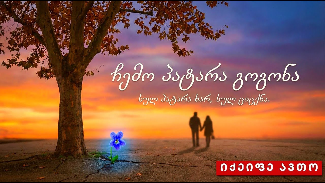 ჩემო პატარა გოგონა#ქართულად #ქართული #song #music #სიმღერები#viralvideo#viralvideos#песня#cover