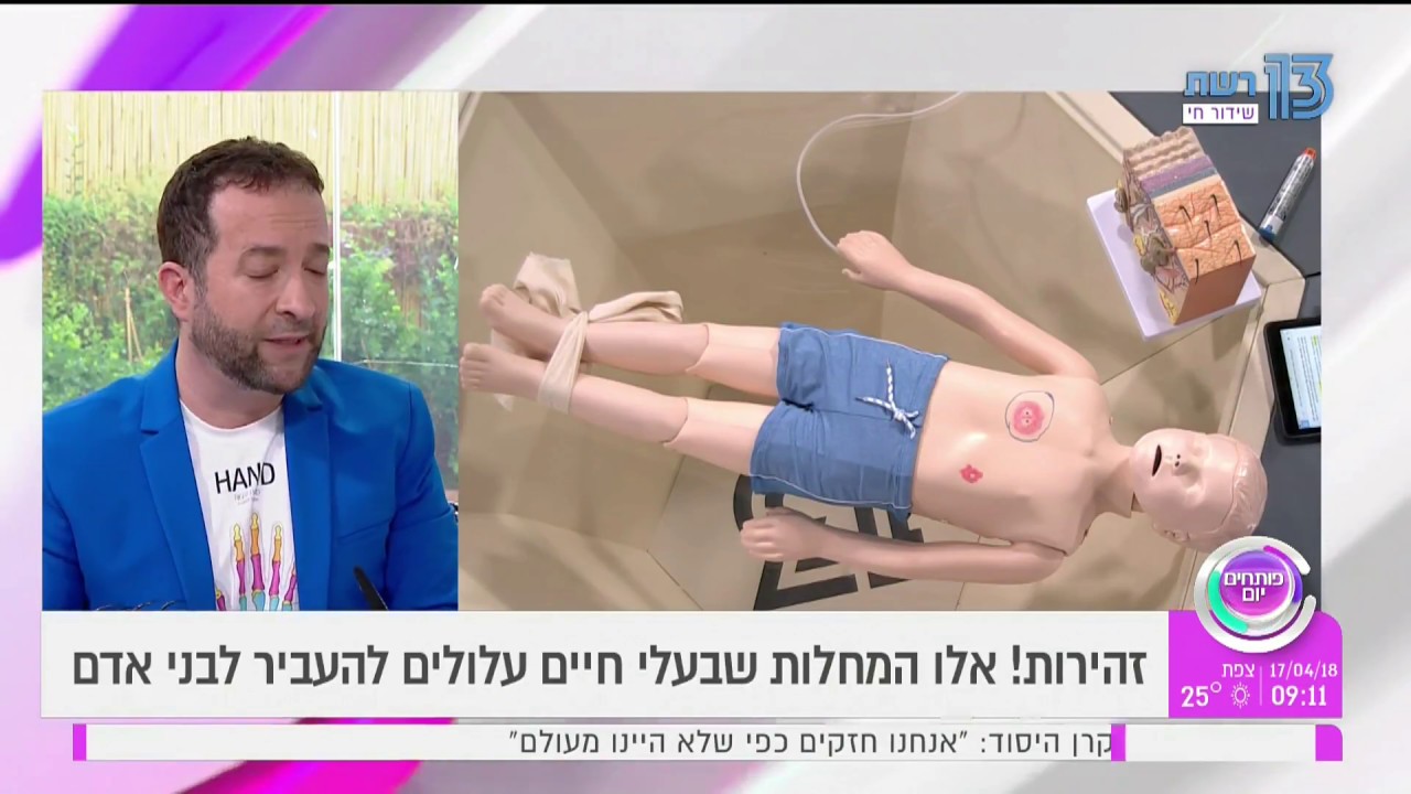 נשיכות, הכשות ועקיצות: כך מטפלים בפגיעות בע