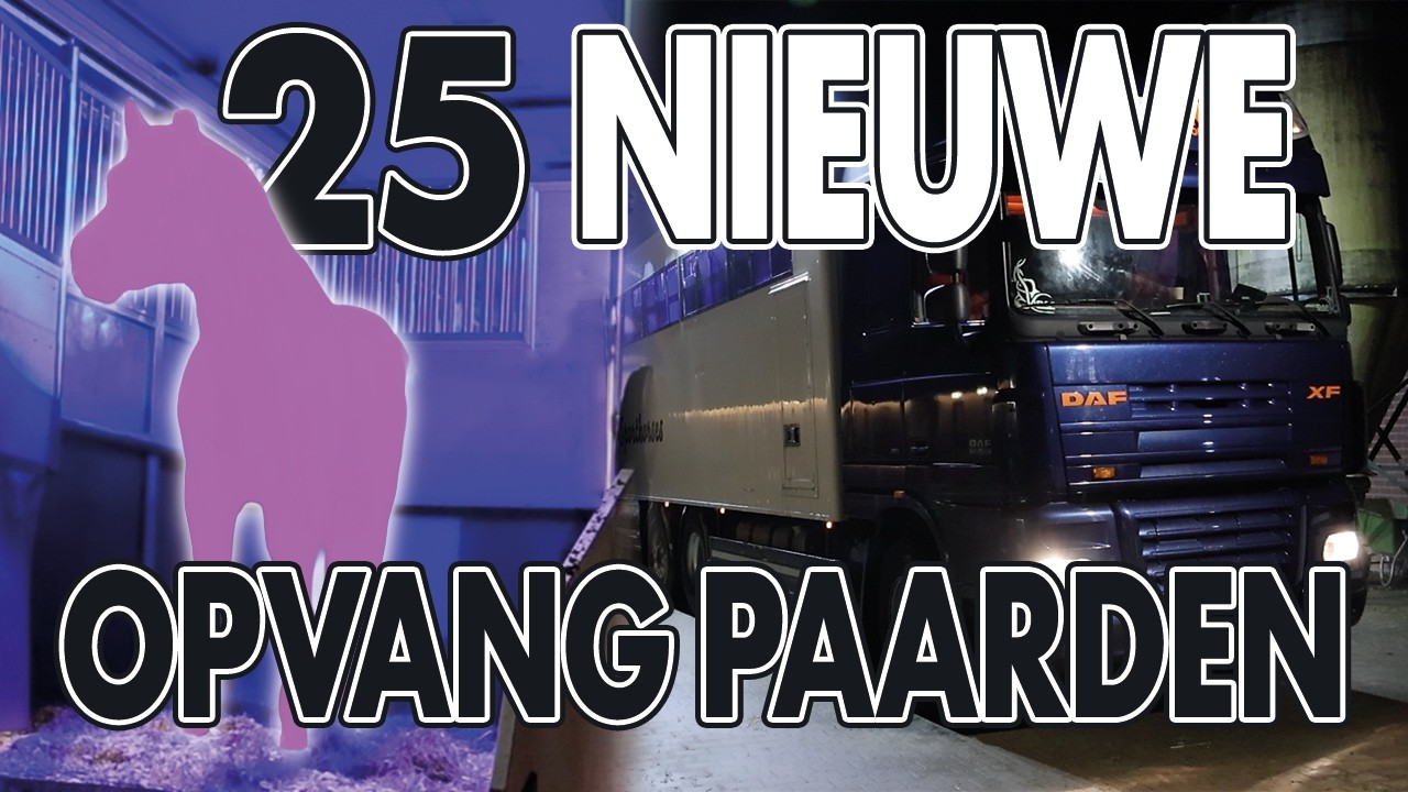 25 NIEUWE OPVANG PAARDEN! ENORM slecht VERZORGD... || Paard zoekt baas