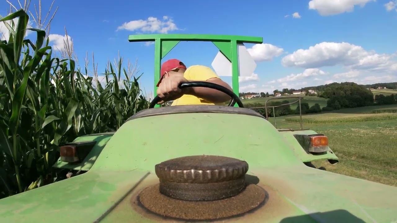 A Day On The Small Farm #6 / harvest potato