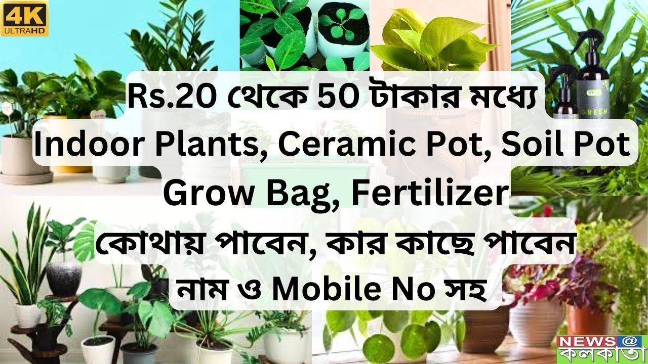 Rs 20-50 টাকার মধ্যে Indoor🌱Ceramic & Soil Pot,Grow Bag, Fertilizerকোথায় পাবেন নাম ও ☎ No সহ#plants