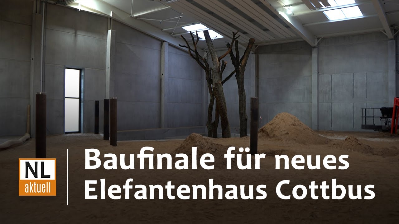 🐘🐯Cottbus Tierpark | Endspurt f&uuml;r neues Elefantenhaus, neue Elefantendame sowie neue Sumatratiger