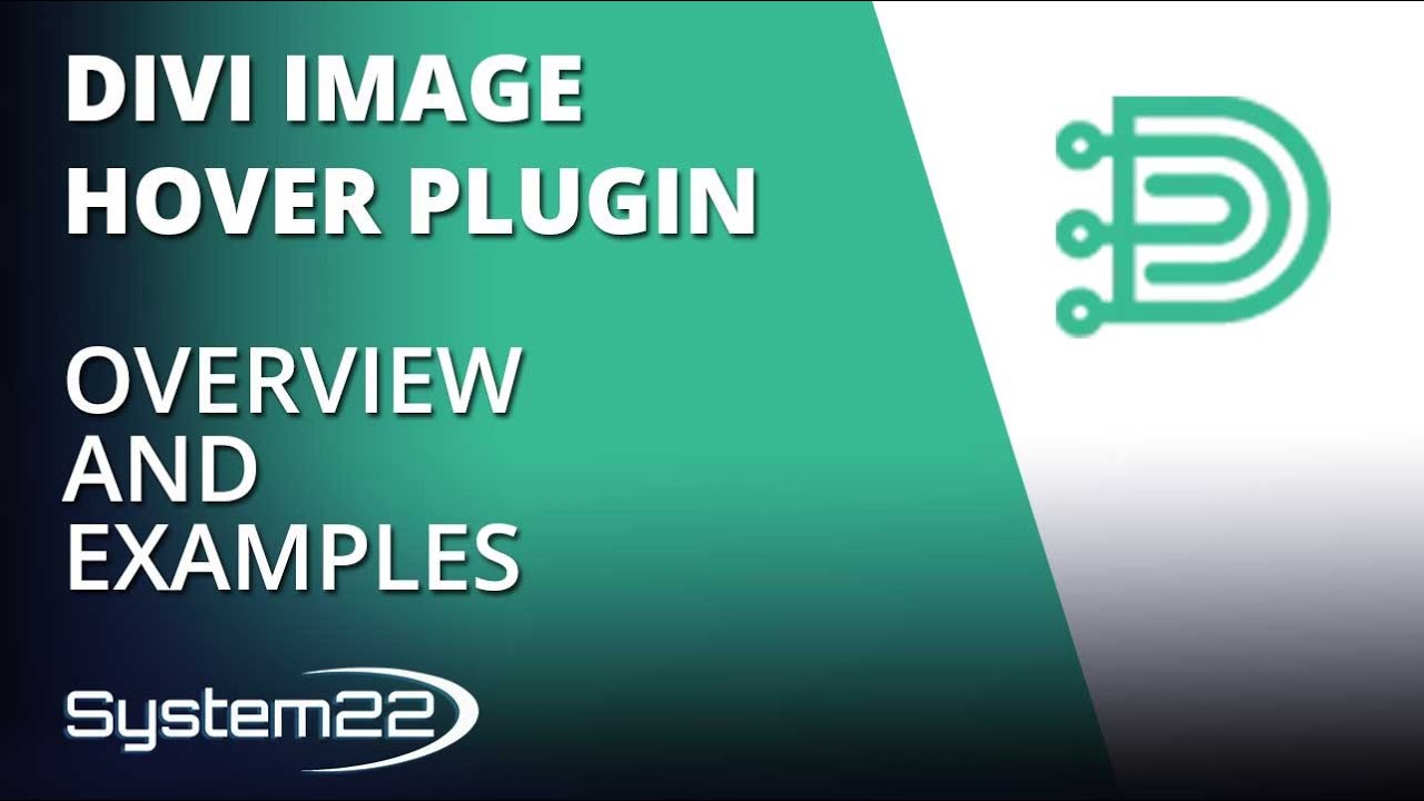 Divi Image Hover Plugin Overview And Examples 👈