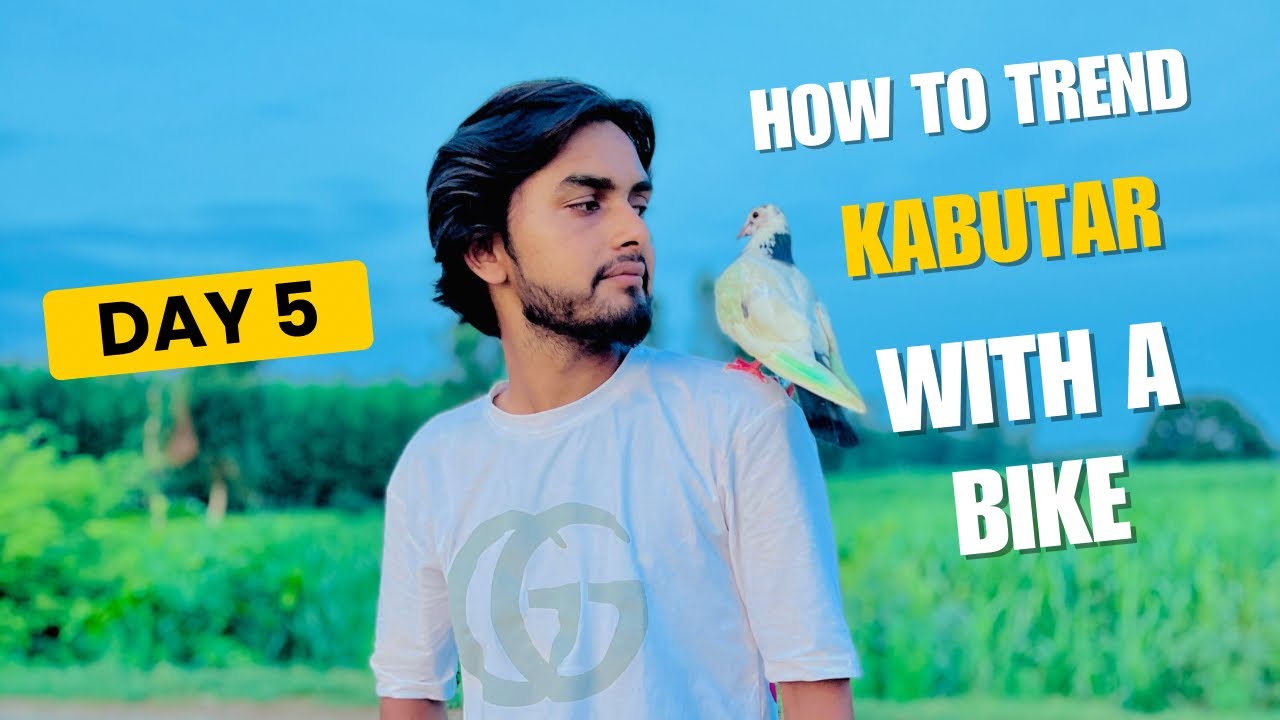 DAY 5 कबूतर को बाइक के साथ कैसे ट्रेंड करें 🕊️ | HOW TO TREND KABUTAR WOTH A BIKE FULL VIDEO