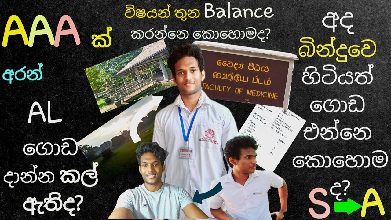 මාස කීපයකින් AL ගොඩ දාන්නෙ මෙහෙමයි|How to do AL in few months|AL Study Plan|Medical Student#tips