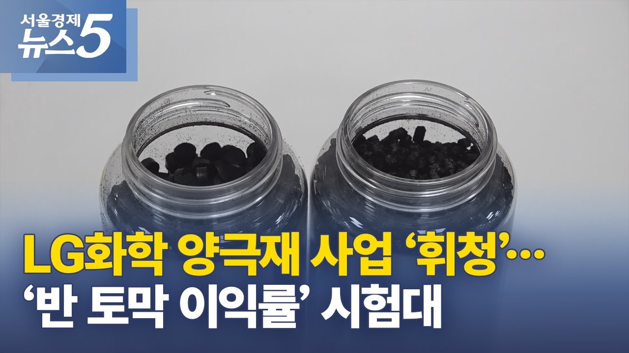 LG화학 양극재 사업 &lsquo;휘청&rsquo;&hellip;&lsquo;반 토막 이익률&rsquo; 시험대