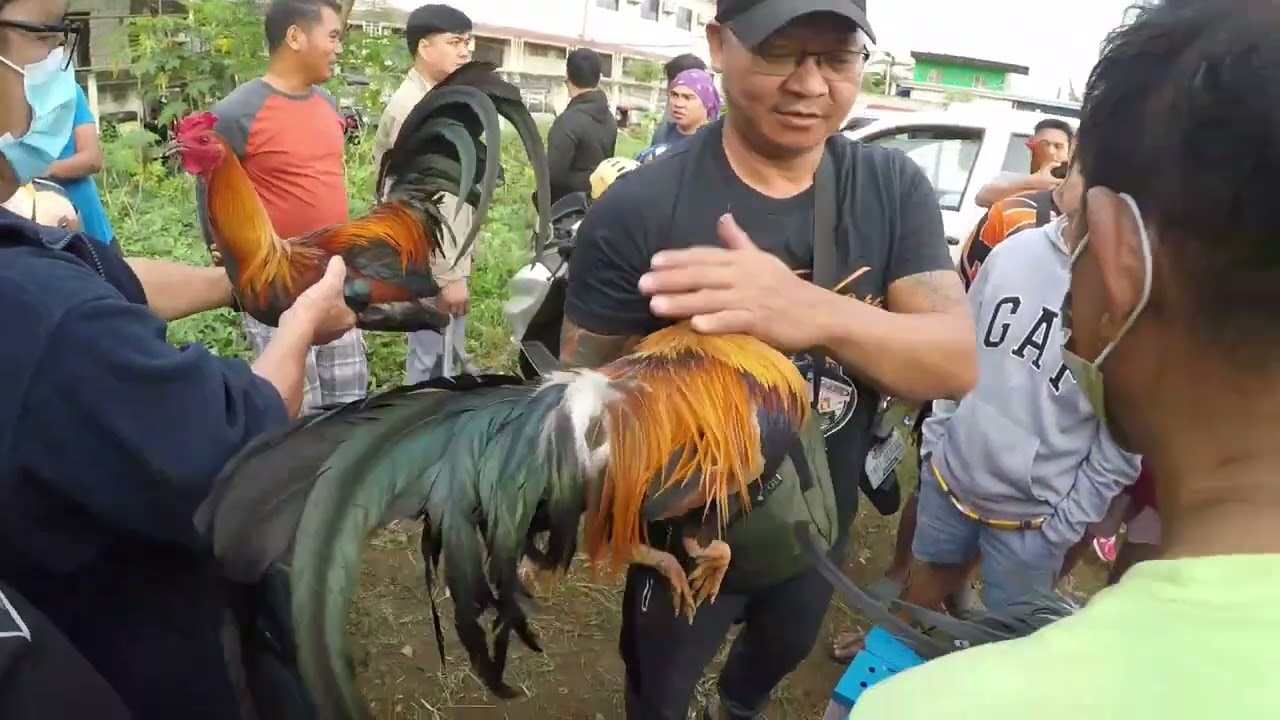 Pag si boss perry dumating dumog