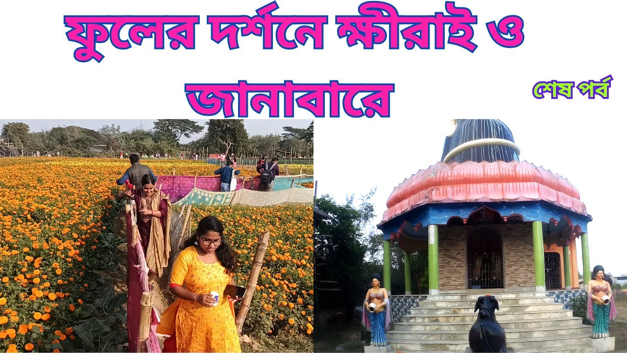 Flowers of Khirai  & Janabar Valley I পাঁশকুড়ার একটি গ্রামের ফুলের বাগানে I পাঁশকুড়ার বিখ্যাত আলুরচপ