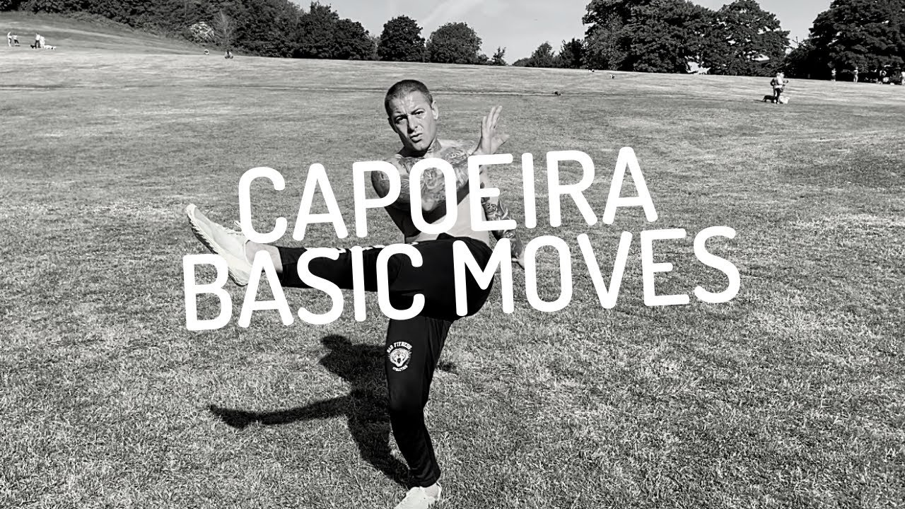 Capoeira basic moves