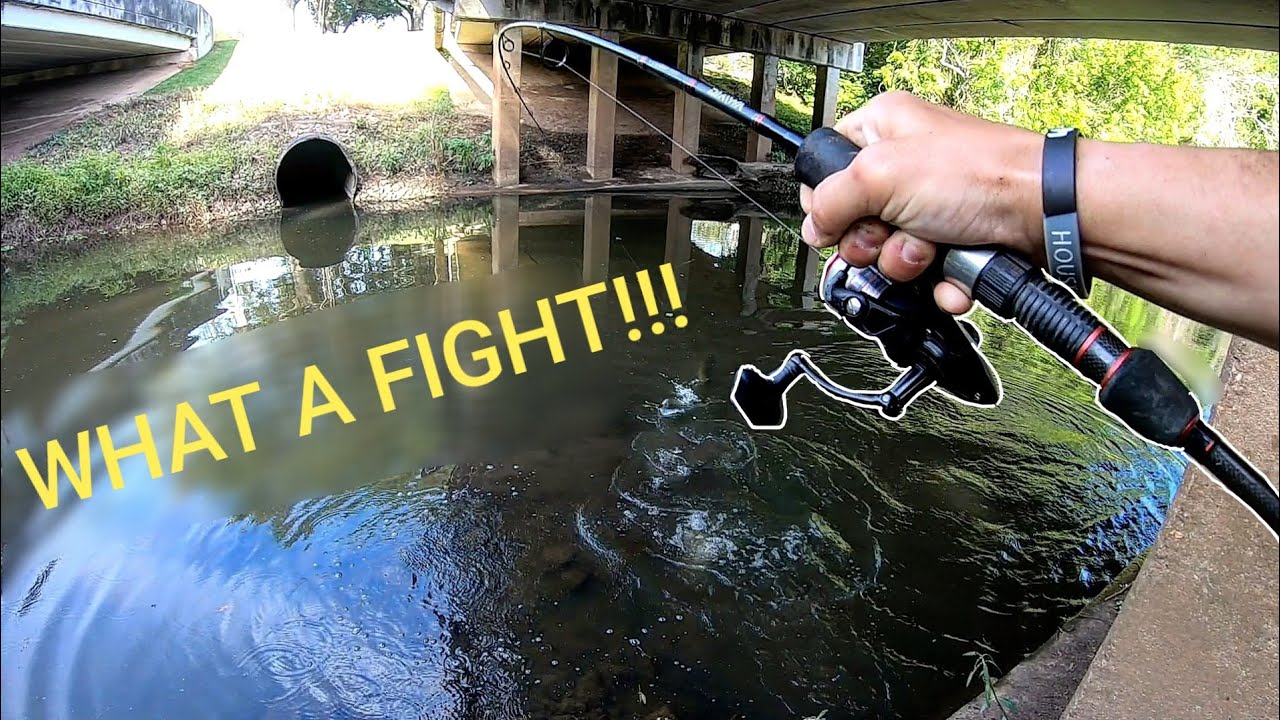 Catching ANCIENT, SNAKE-LIKE FISH Under A Bridge!!! -AWESOME FIGHT!!!