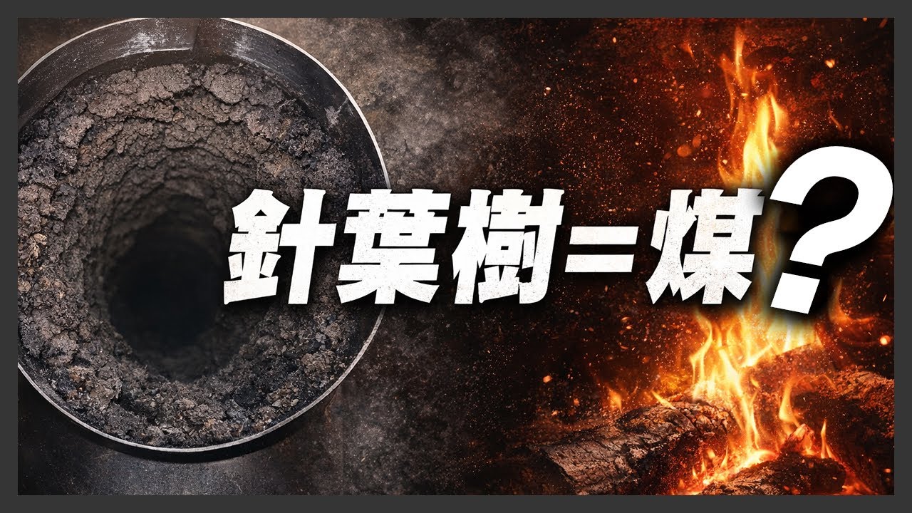 針葉樹＝煤が多い？ 本当にダメなのか原因と対策を徹底解説