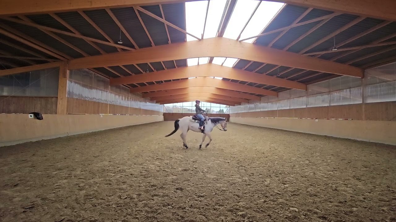 Einfach ein bisschen reiten Außengalopp