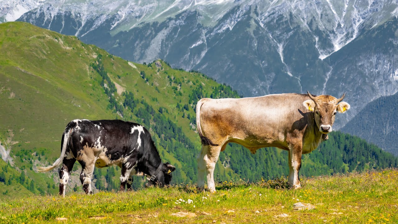 AUSTRIA: Serfaus - Fiss - Ladis