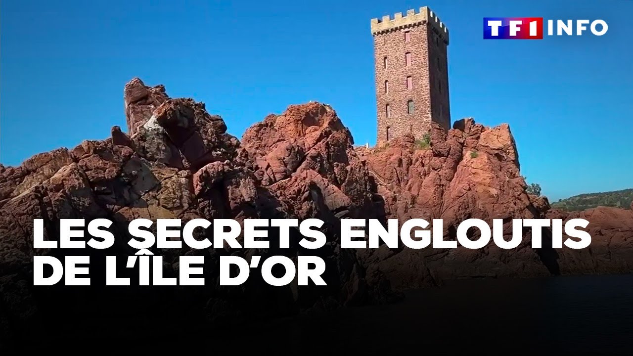 Les secrets engloutis de l'Île d'Or｜TF1 INFO