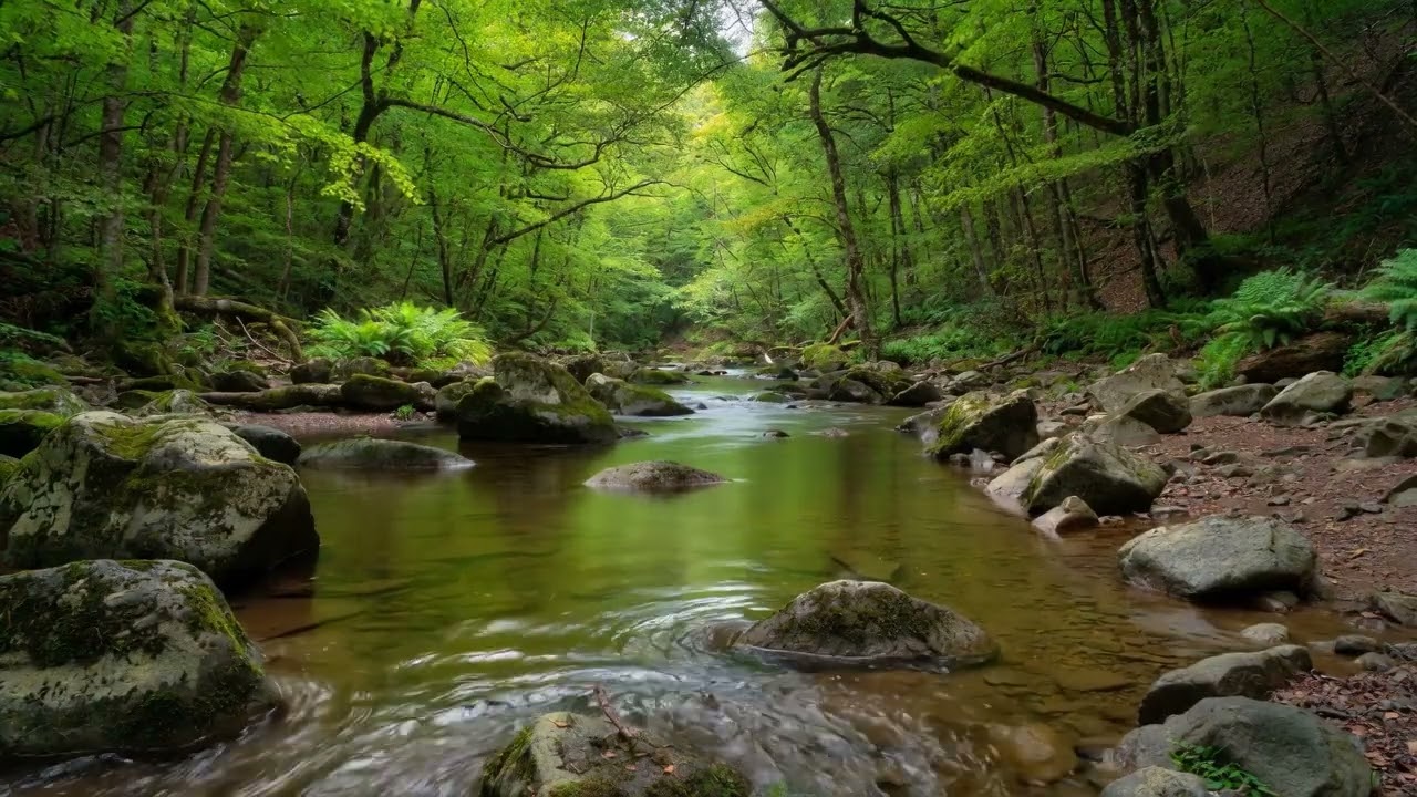 HOURS of Deep RELIEF Music That MELTS Stress & Anxiety Away (Ultimate Alpha Waves) Cut Stress