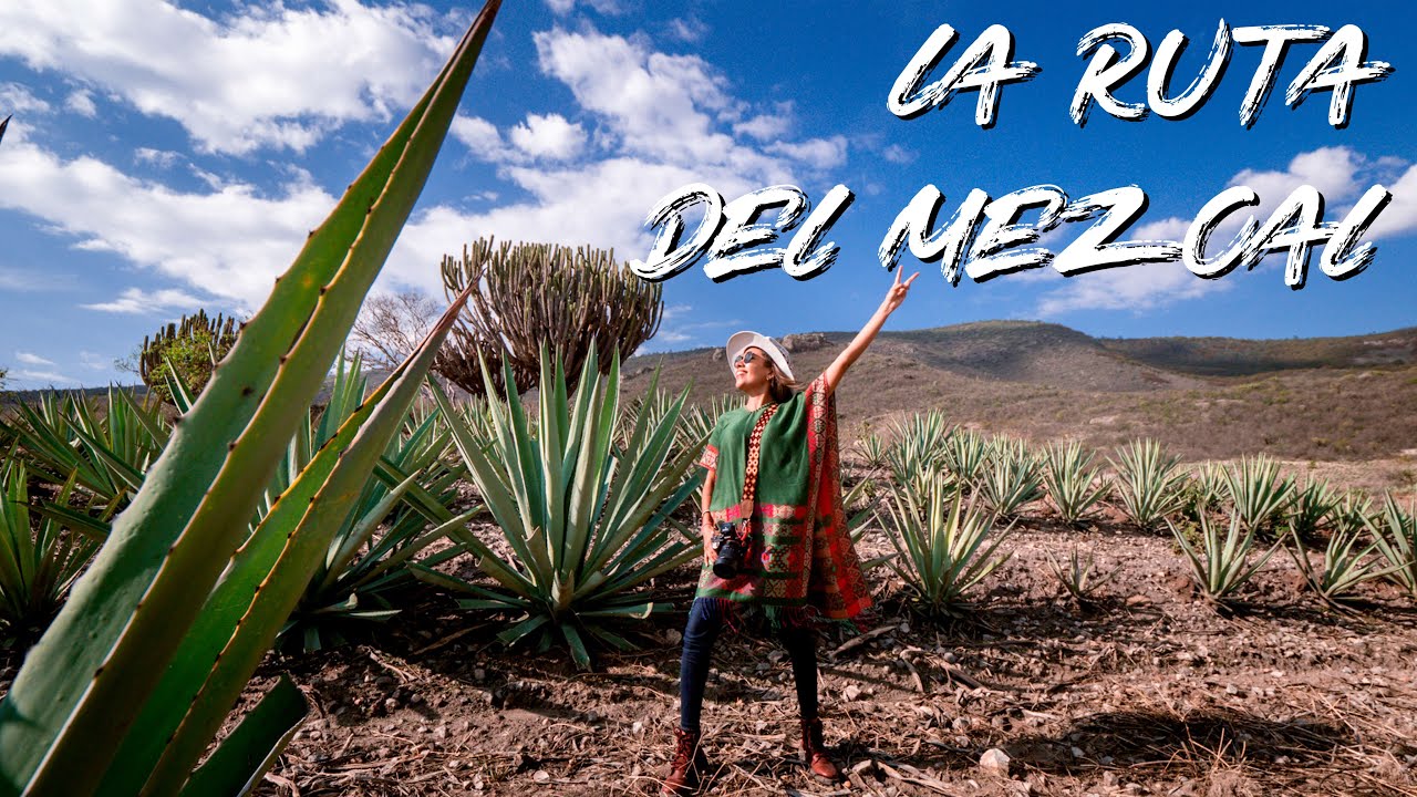 Cómo hacer la RUTA DEL MEZCAL más chida de Oaxaca 4K I Mariel de Viaje
