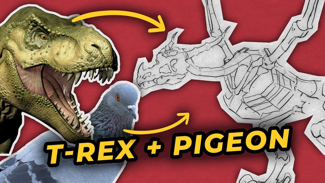 Dragon Vouivre : Mixer l'anatomie d'un Pigeon et d'un T-rex