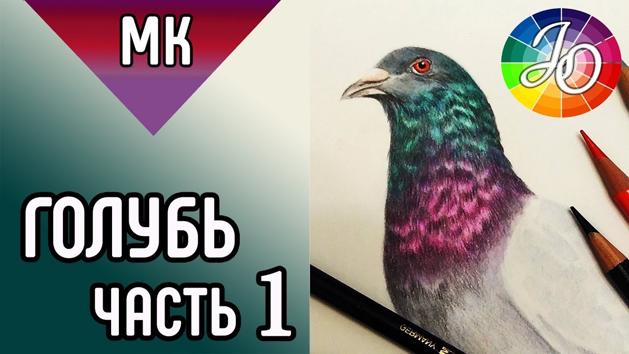 ГОЛУБЬ 👍✔ Как нарисовать птицу цветными карандашами (переливающиеся перья) / HowToDraw a pigeon