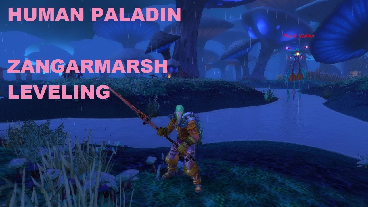 WoW TBC Classic Paladin Leveling Stream, Zangarmarsh 9/8/21
