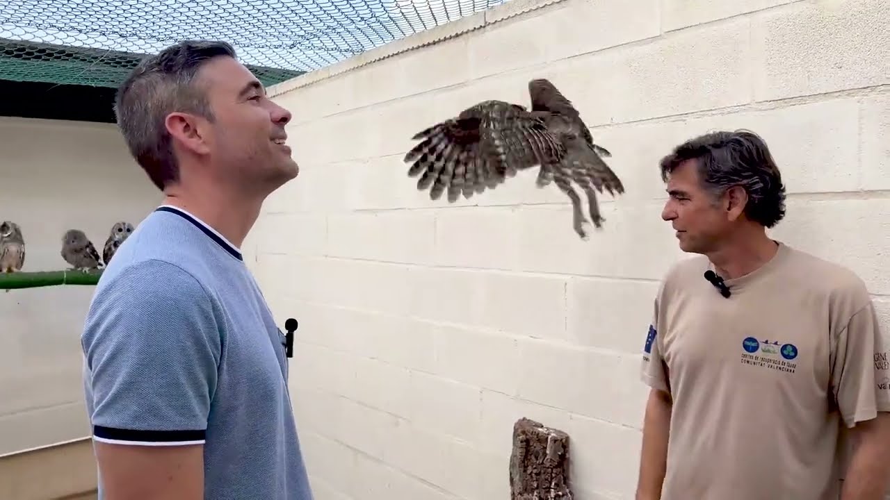 ¿Cuál es la labor de los veterinarios en un centro de recuperación de Fauna Silvestre?