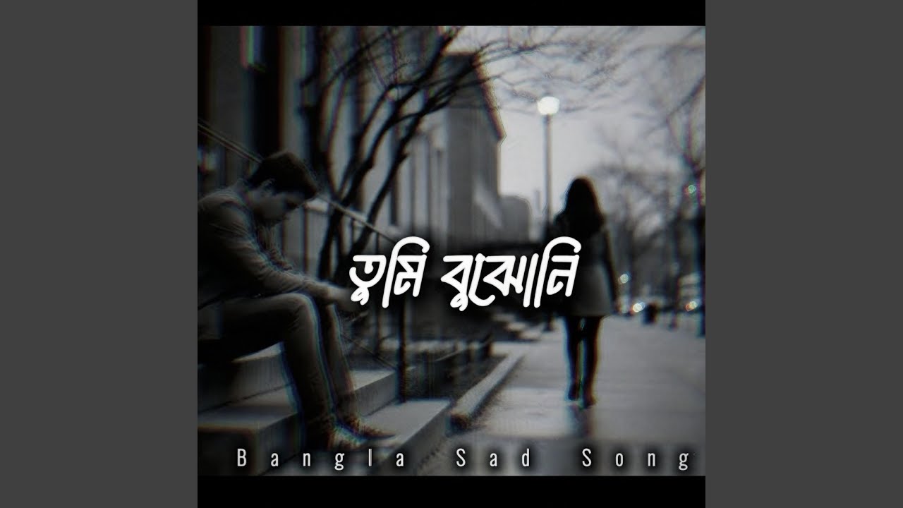 তুমি বুঝোনি