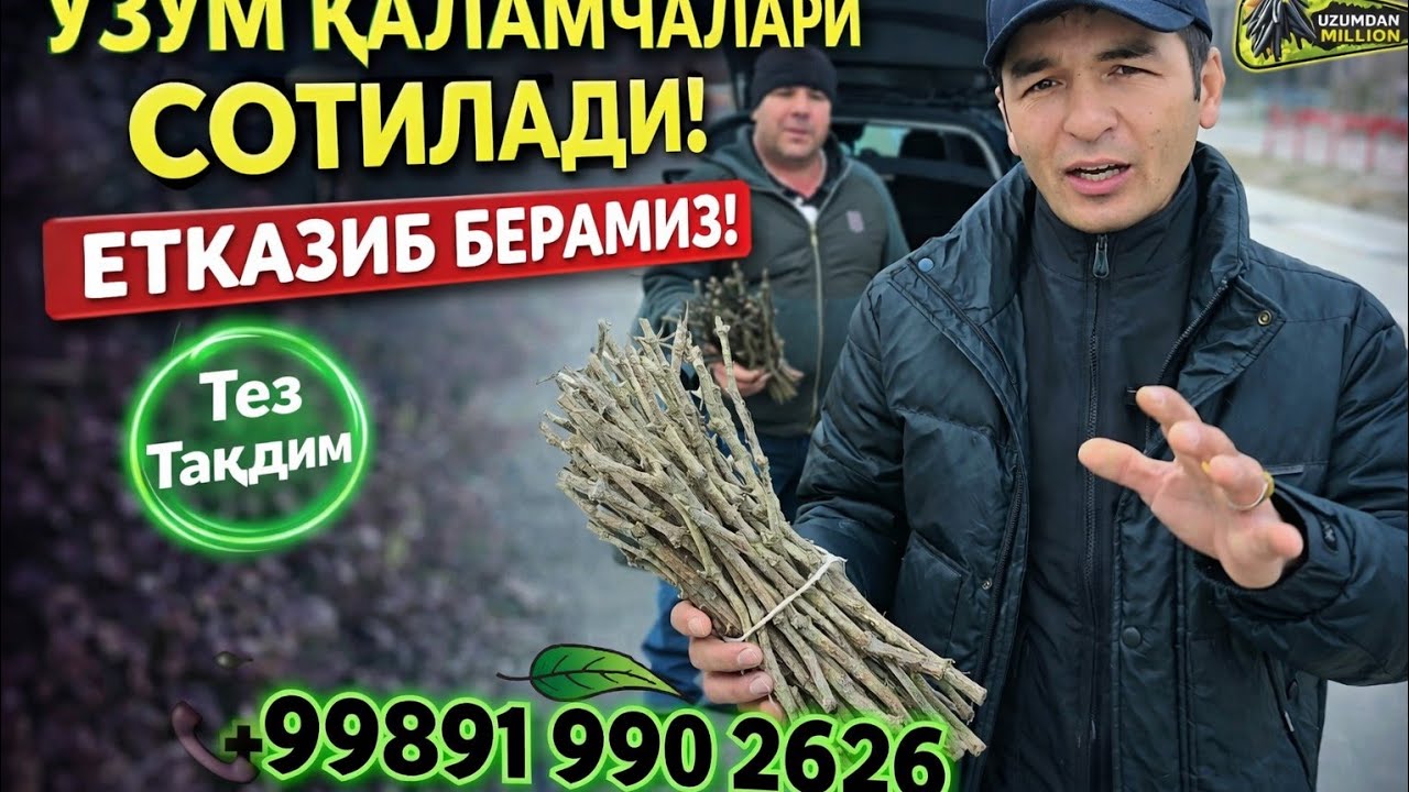 “Sinovdan o‘tgan qalamchalar — buyurtma ochiq!”