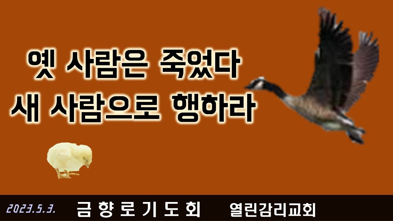 그리스도인의 정체성4  거울원리, 본성에 집중하고 본성대로 살라, 말씀을 행하라. 죄짓지 않으려고 애쓰지 말라.(230503)