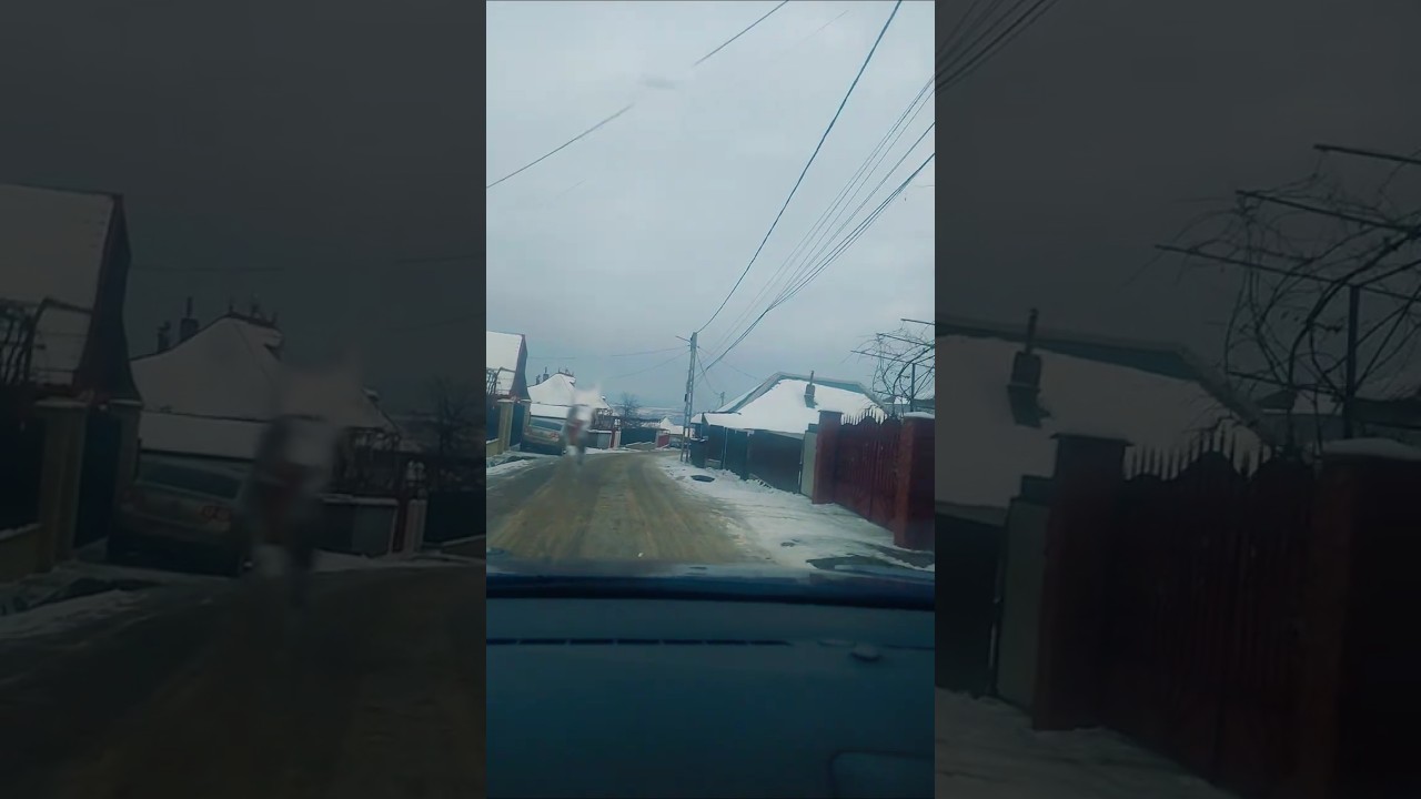 Valea Arinilor   26 decembrie 2025