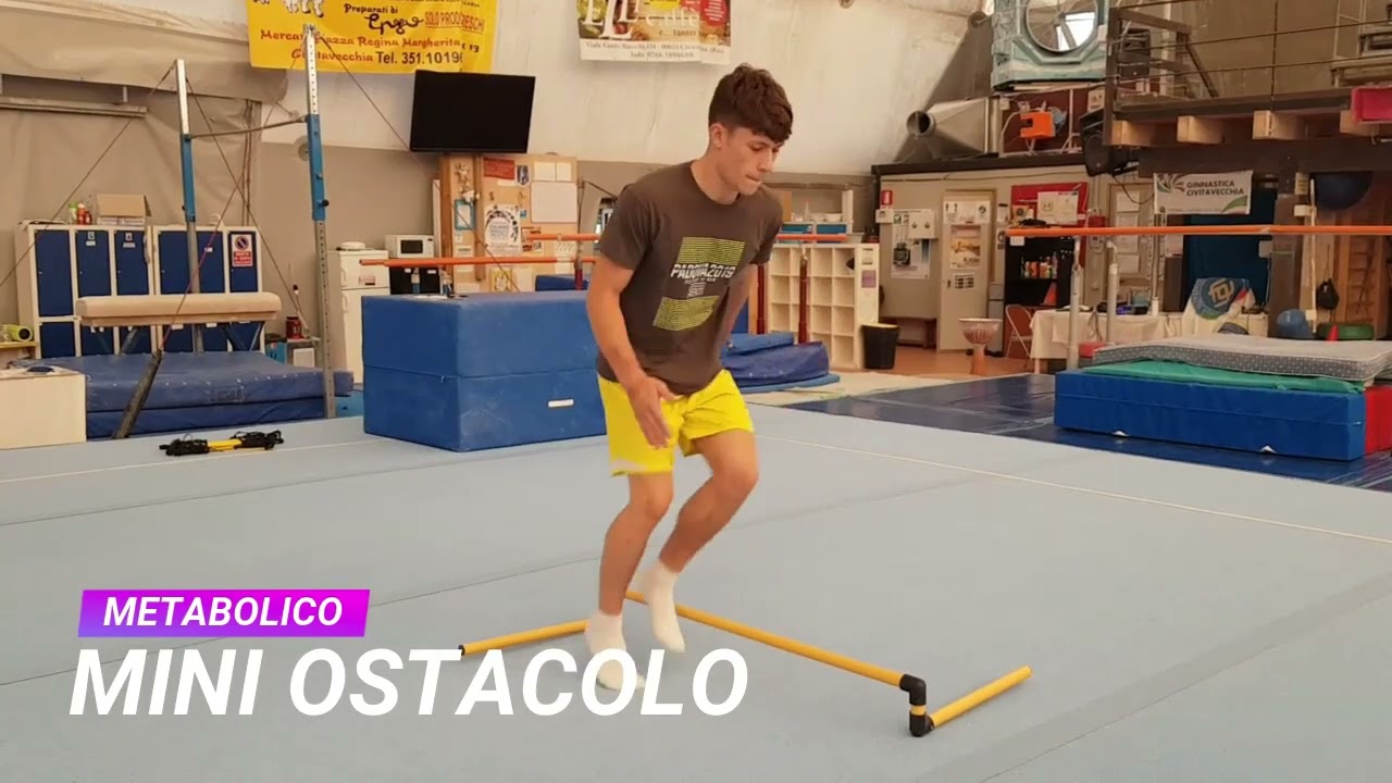 CIRCUITO ARTI INFERIORI