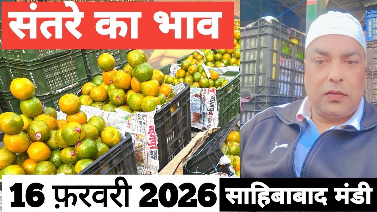 16 February 2026🍊🍊 संतरे का भाव साहिबाबाद मंडी | today orange rates #grapes #orange #delhimandi 