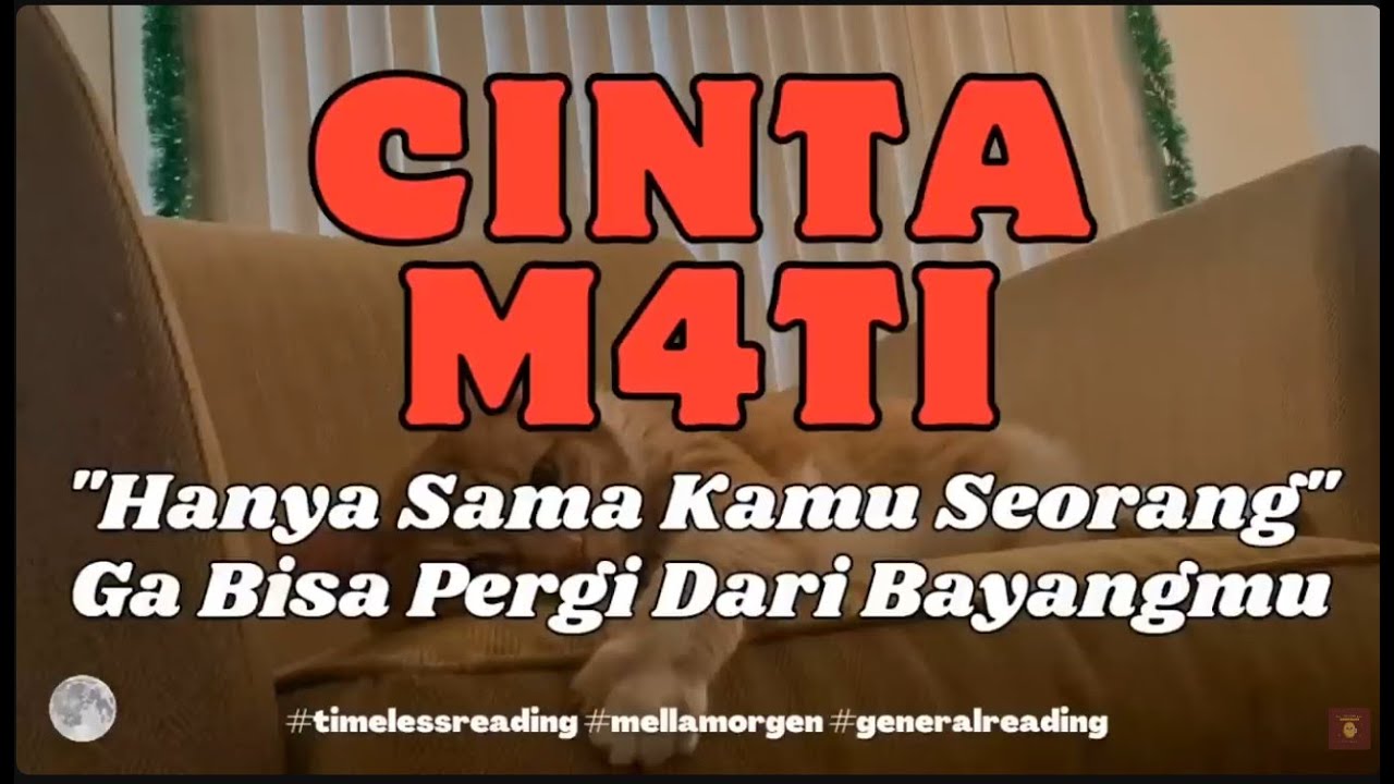 🥔 ADA YANG KECINTAAN RUPANYA🥔 #potatotarot #timelessreading