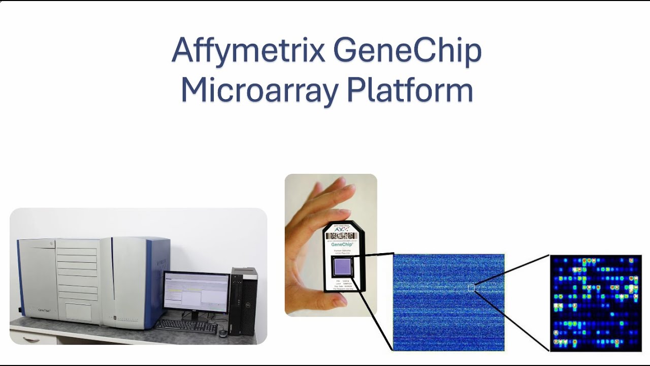 Affymetrix GeneChip Technology