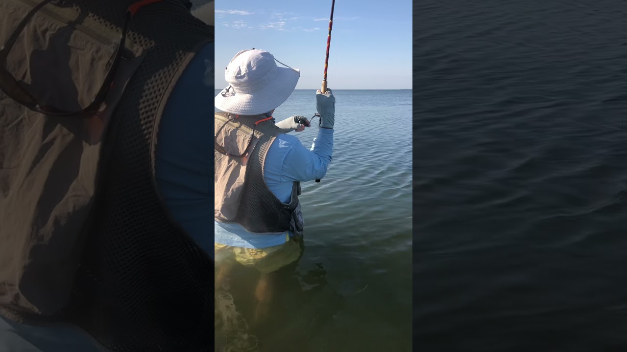 Catching 30+ redfish while wading with Capt. Bob