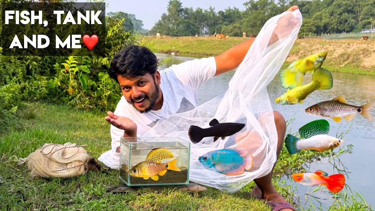 Northeast River Fishing❤️| Nature Fishing | Guppy Breeding | Fish breeding at home