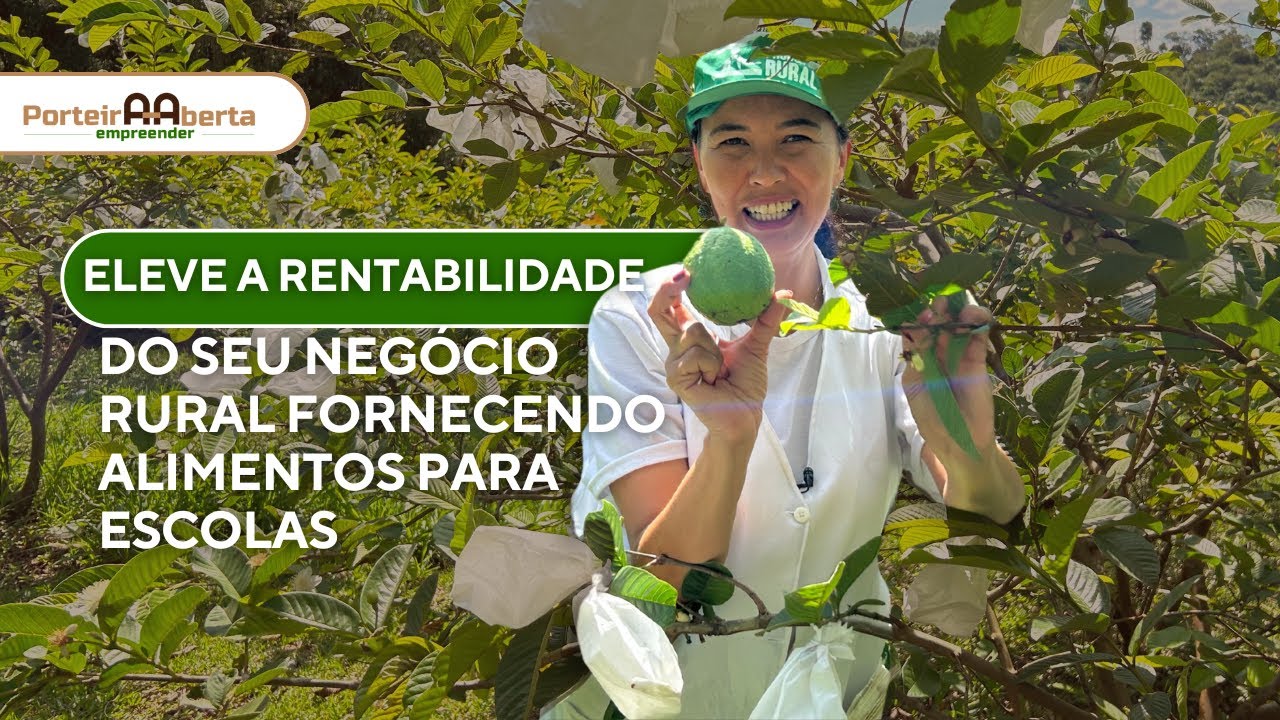 Pequeno produtor:  saiba como vender para Escolas P&uacute;blicas e aumentar a sua renda