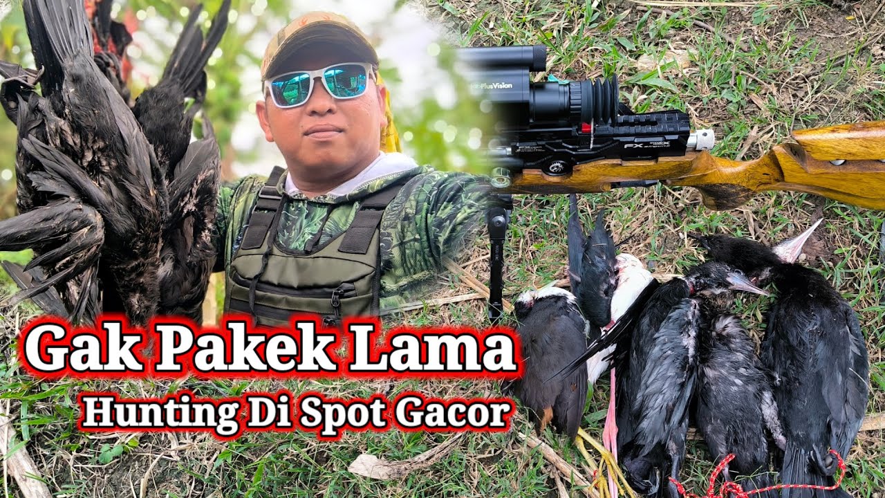 Hunting Di Spot Gacor ❗ ZAR SLUG 14gr ❗ Spot Anti Zong ❗...