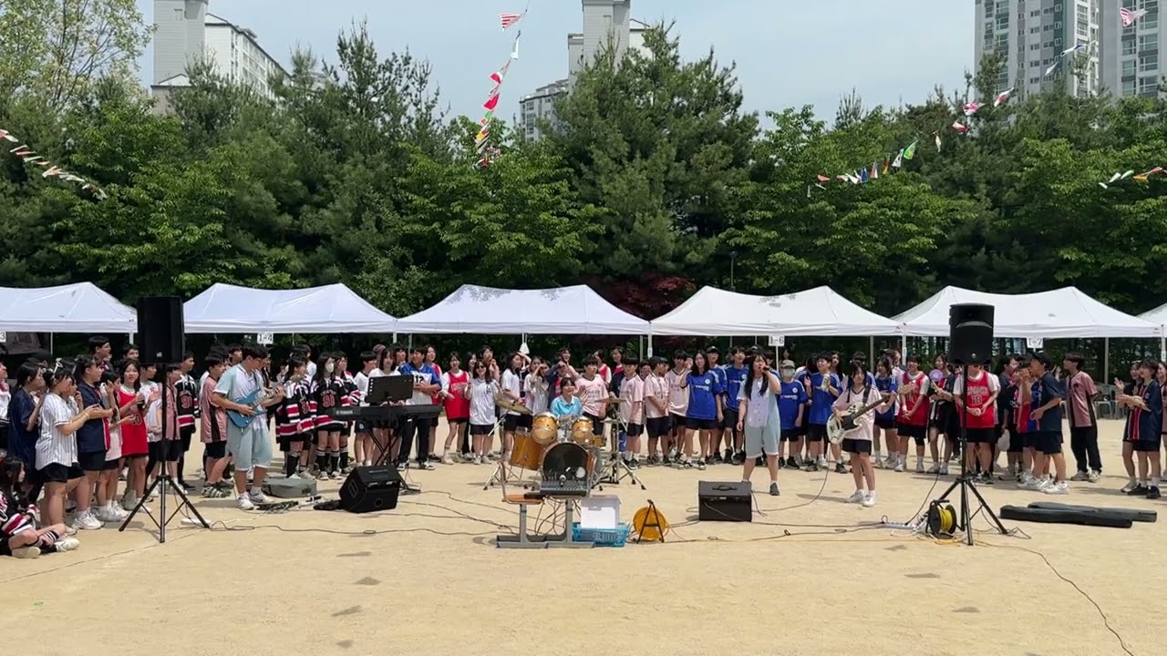 2025 체육대회 축하공연 Accord - 낭만 고양이