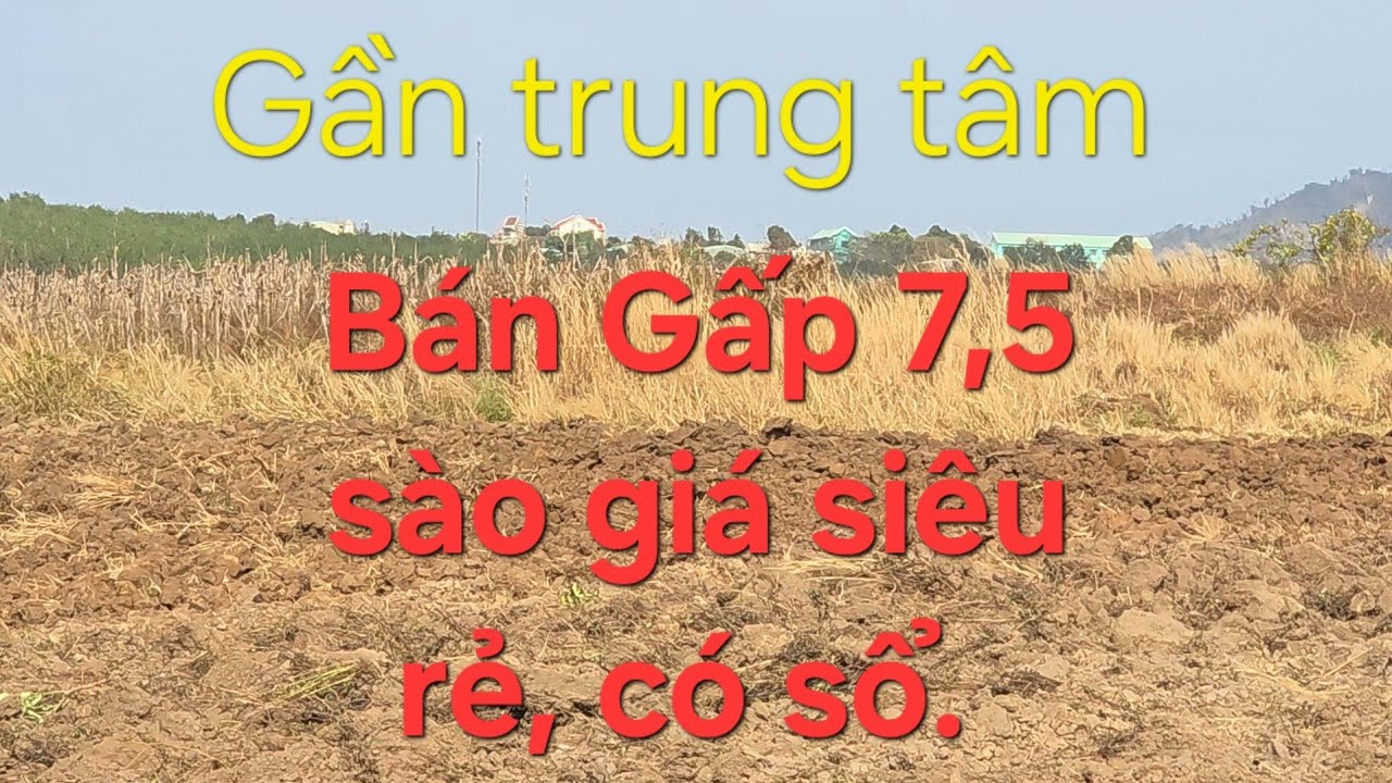 7,5 sào giá siêu rẻ, có sổ, lh 08 22 72 76 79. 