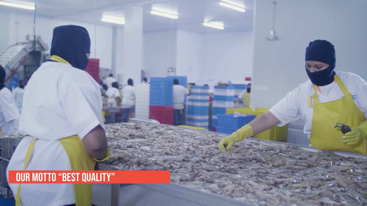 Exportquilsa |有信 - Ecuadorian Shrimp 厄瓜多尔虾
