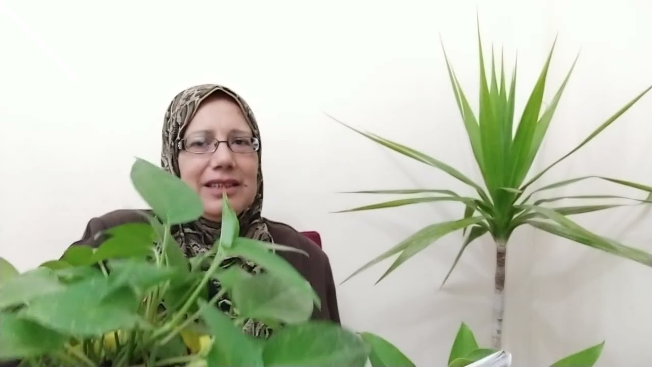 19نقطة تخلصك من الطاقة السلبية| ماما نادية