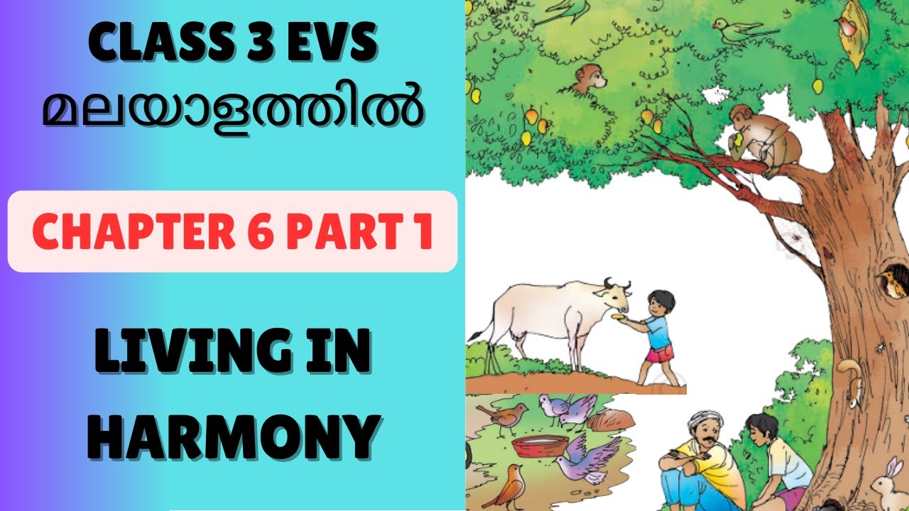 CHAPTER 6- LIVING IN HARMONY  PART 1 : CBSE/KV CLASS 3 EVS (NCERT TEXTBOOK)