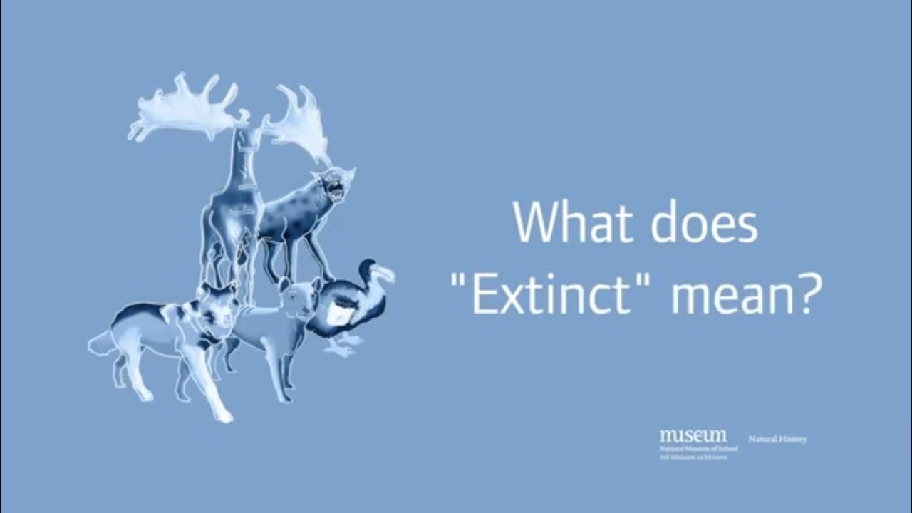 What Does 'Extinct' Mean?