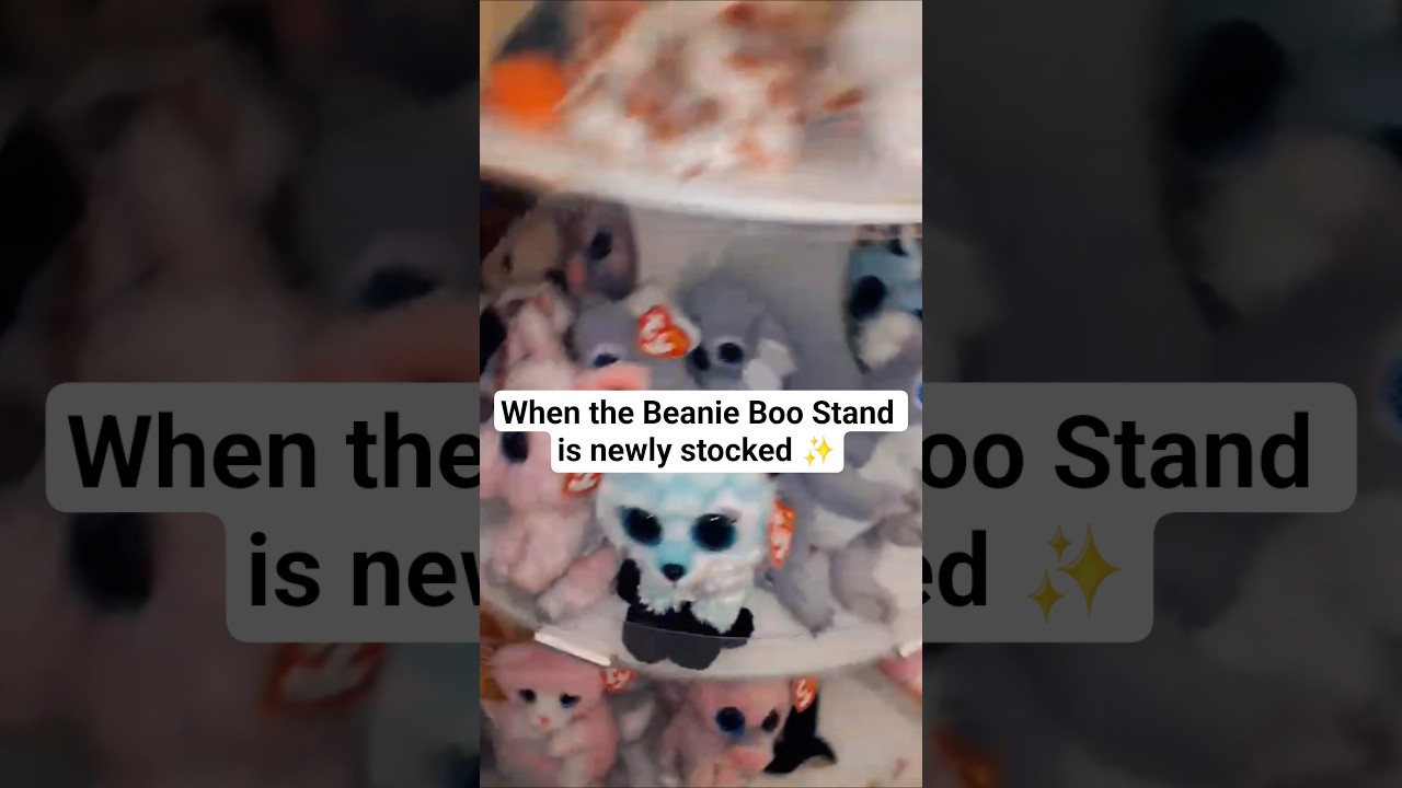 the BEST feeling 💕😍#beanieboos