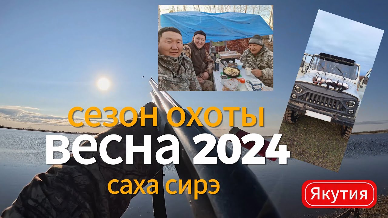 Весенняя охота на уток 2024 год. Сааскы кус