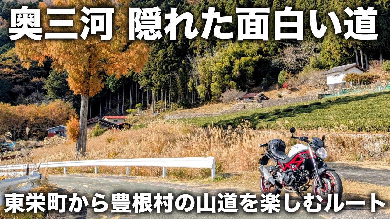 面白いルート開拓！奥三河の東栄町から豊根村の山道が素晴らしい。温泉と愛知県のソウルフードも堪能できるツーリング | SV650