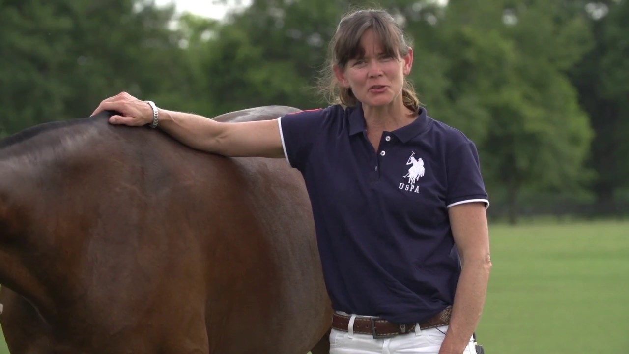 CPI  Educational: Leg Anatomy and Common Injuries | Dr. Shelley Onderdonk