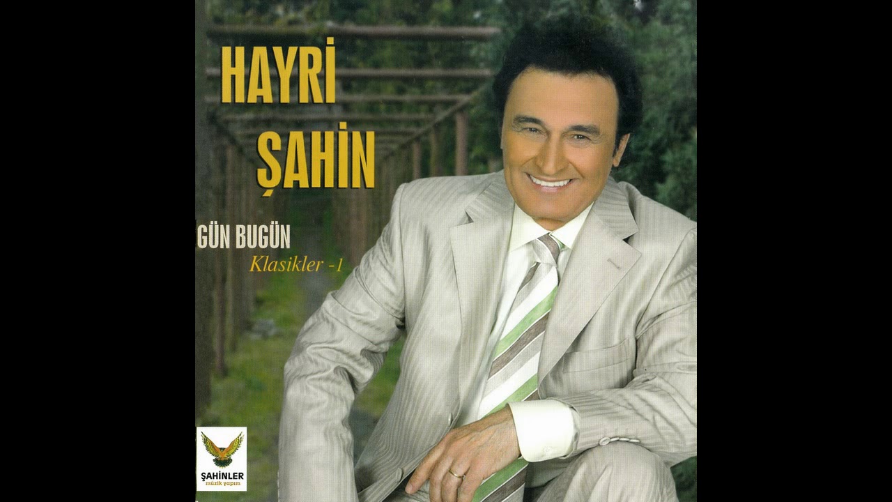 Hayri Şahin - Durduramadım