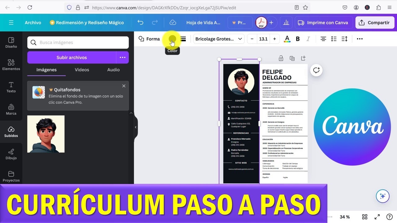 Como HACER un CURRICULUM vitae en CANVA