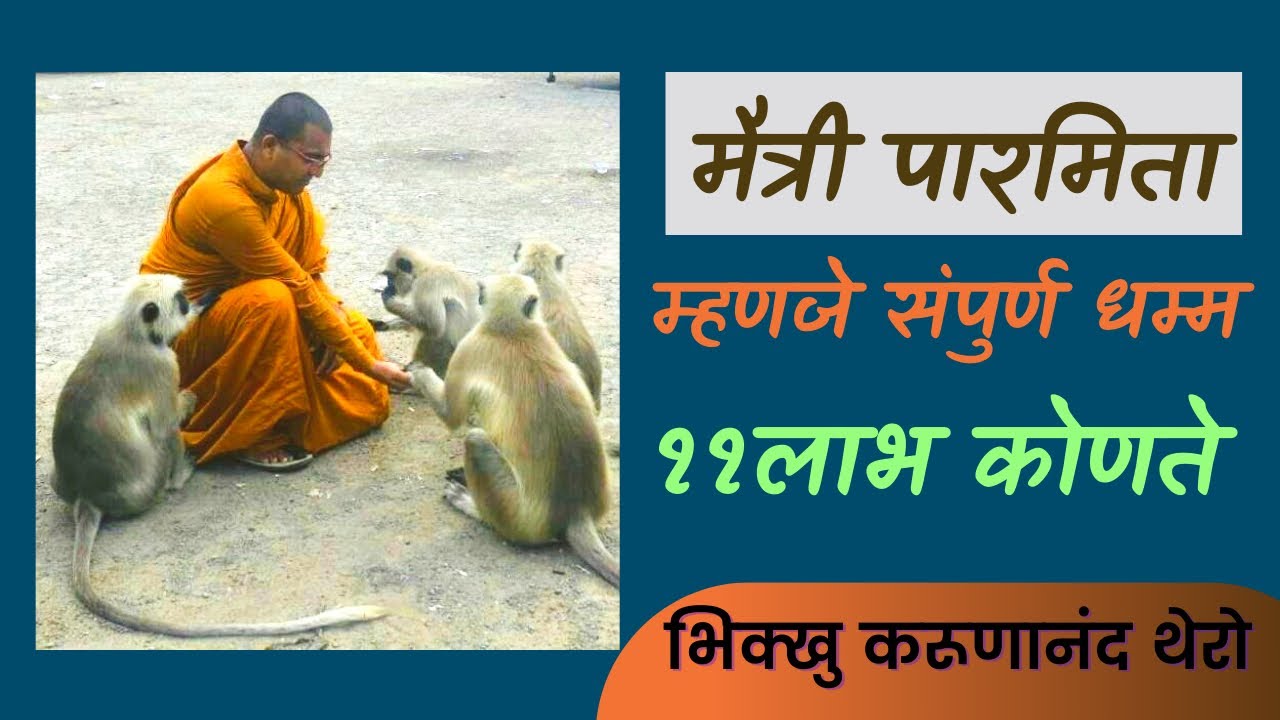 मैत्री पारमिता पूर्ण केल्याने ११ लाभ मिळतात. |MettaParami|BhikKhuKarunanandThero| TheGreatHappiness|