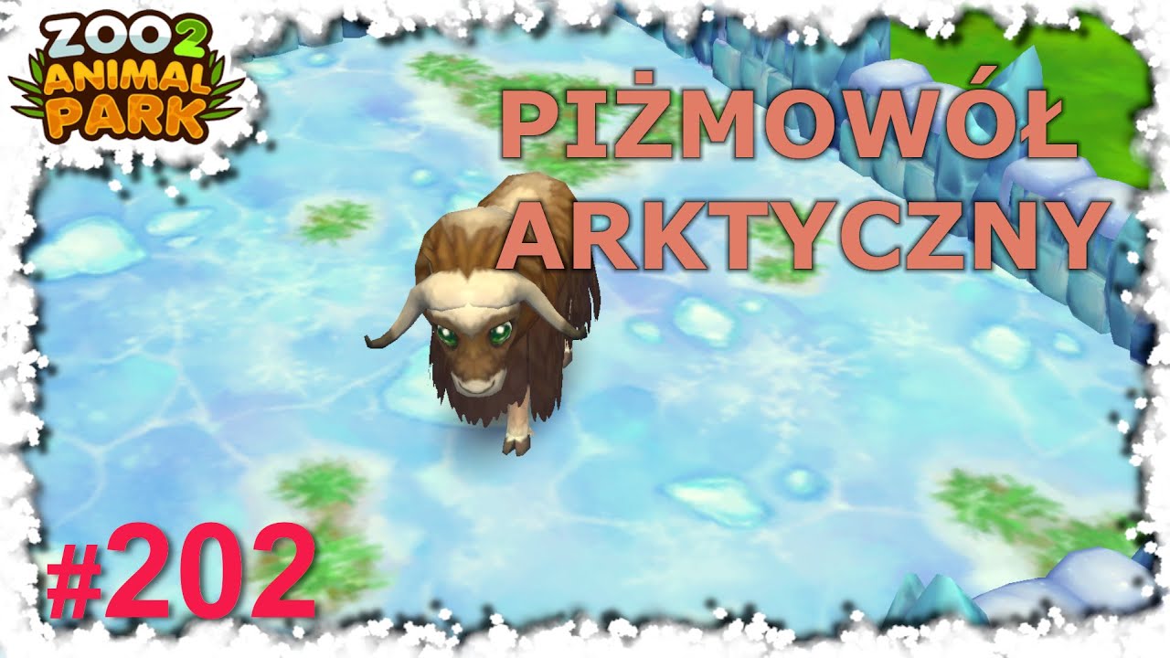 🦁 Zoo 2: Animal Park: #202 PIŻMOWÓŁ ARKTYCZNY